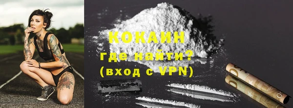 прущий лед Алзамай