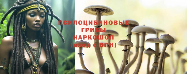 СК Алексеевка