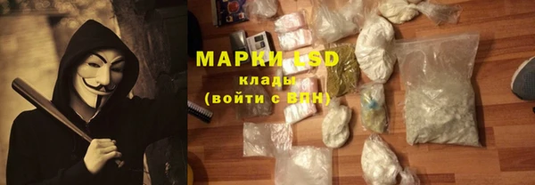 прущий лед Алзамай