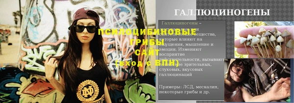 прущий лед Алзамай